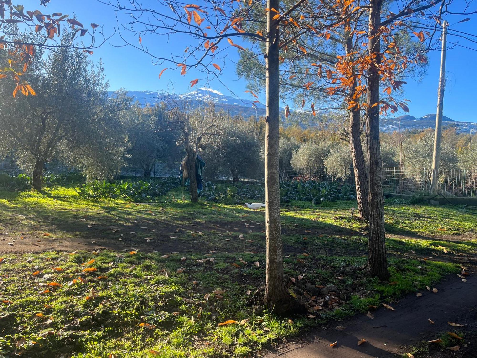Вилла Poggio Roseto Рандаццо Экстерьер фото